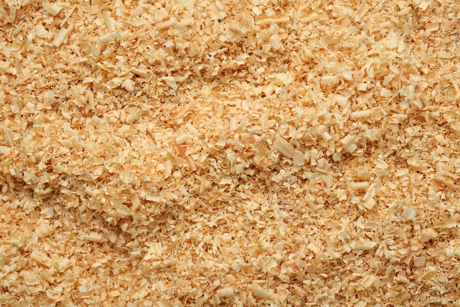 Photo of Dry natural sawdust as background, top view