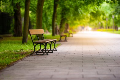 Photo of Beautiful view of green park with path and wooden bench. Space for text