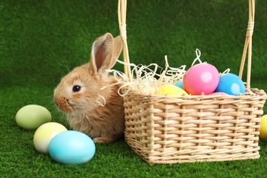 Adorable furry Easter bunny near wicker basket and dyed eggs on green grass