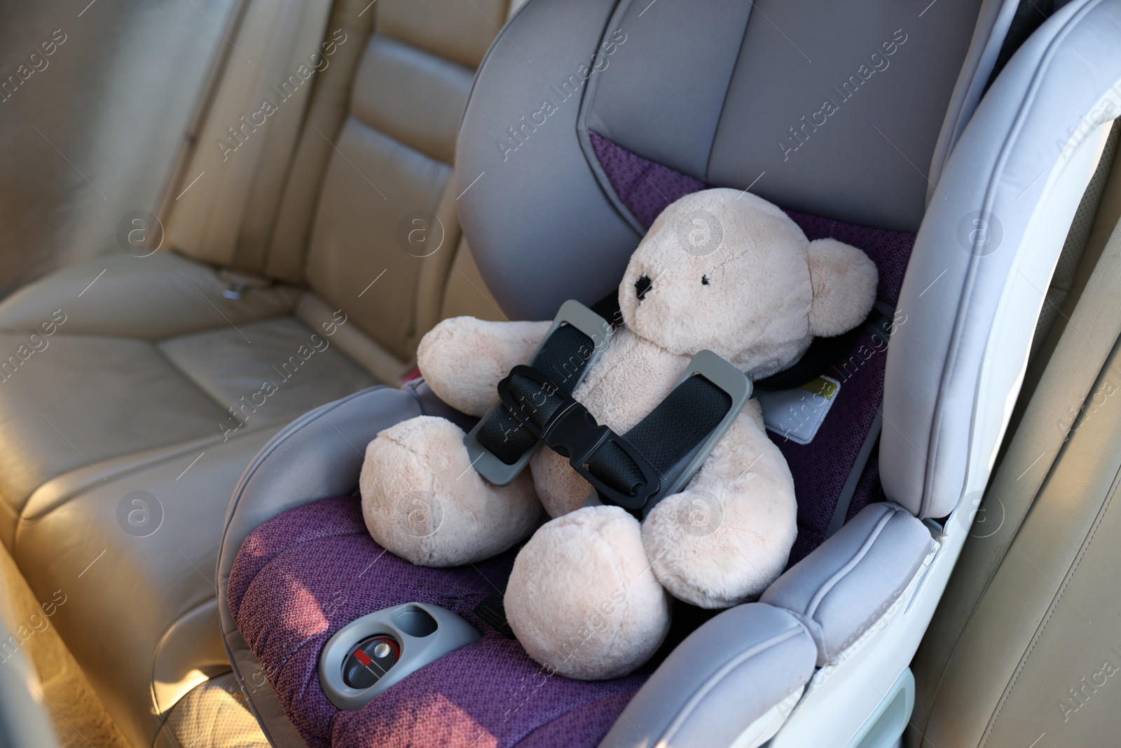 Photo of Teddy bear in child safety seat inside car