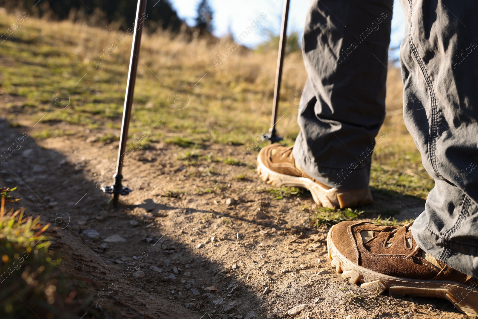 Photo of Hiker with trekking poles walking outdoors on sunny day, closeup