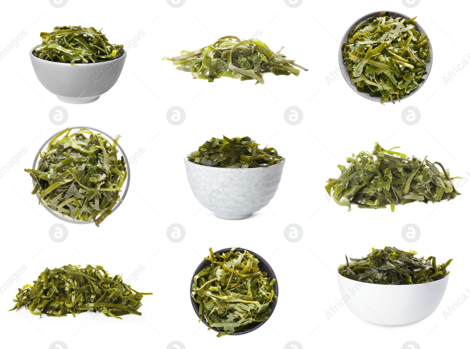 Image of Set with fresh laminaria (kelp) seaweed on white background