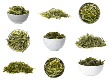 Set with fresh laminaria (kelp) seaweed on white background