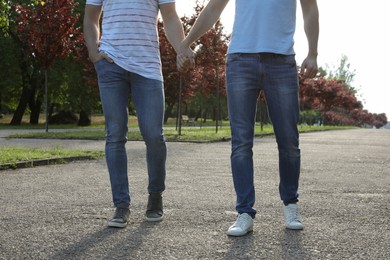Photo of Gay couple walking in park on sunny day, closeup