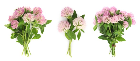 Image of Set with beautiful clover flowers on white background, top view. Banner design