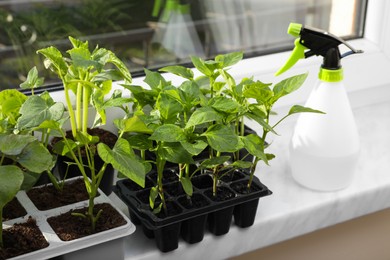 Seedlings growing in plastic containers with soil and spray bottle on windowsill indoors