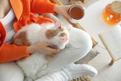 Woman with cute fluffy cat and cup of tea in armchair, top view