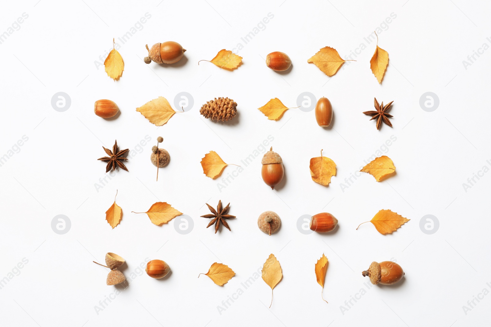 Photo of Flat lay composition with autumn leaves on white background