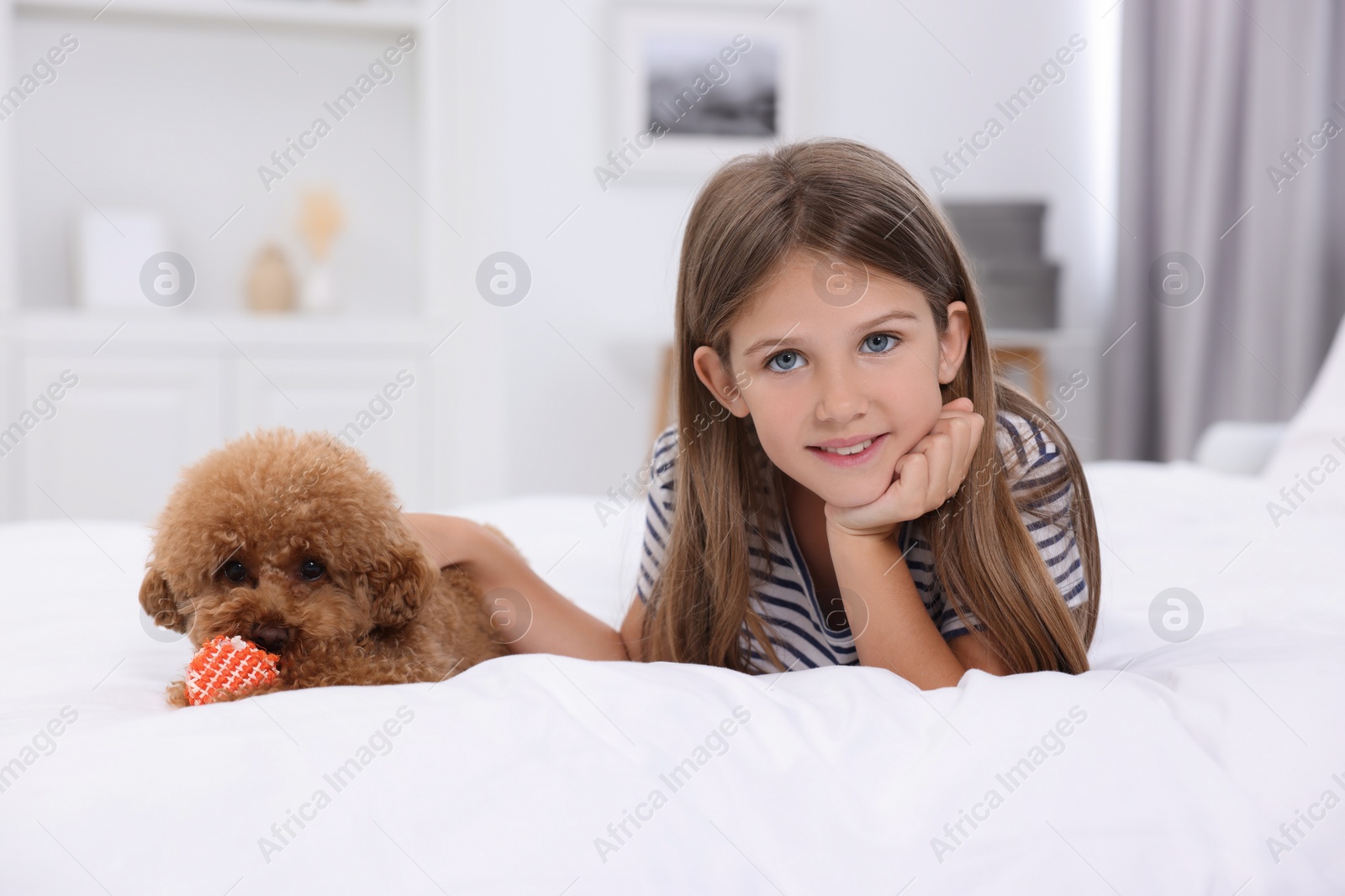 Photo of Little child and cute puppy on bed at home. Lovely pet