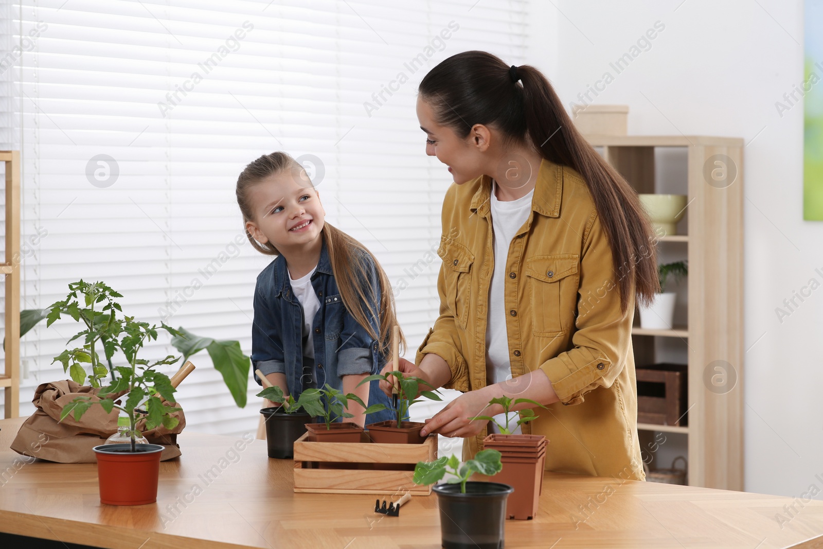 Photo of Mother and daughter planting seedlings into pots together at wooden table in room