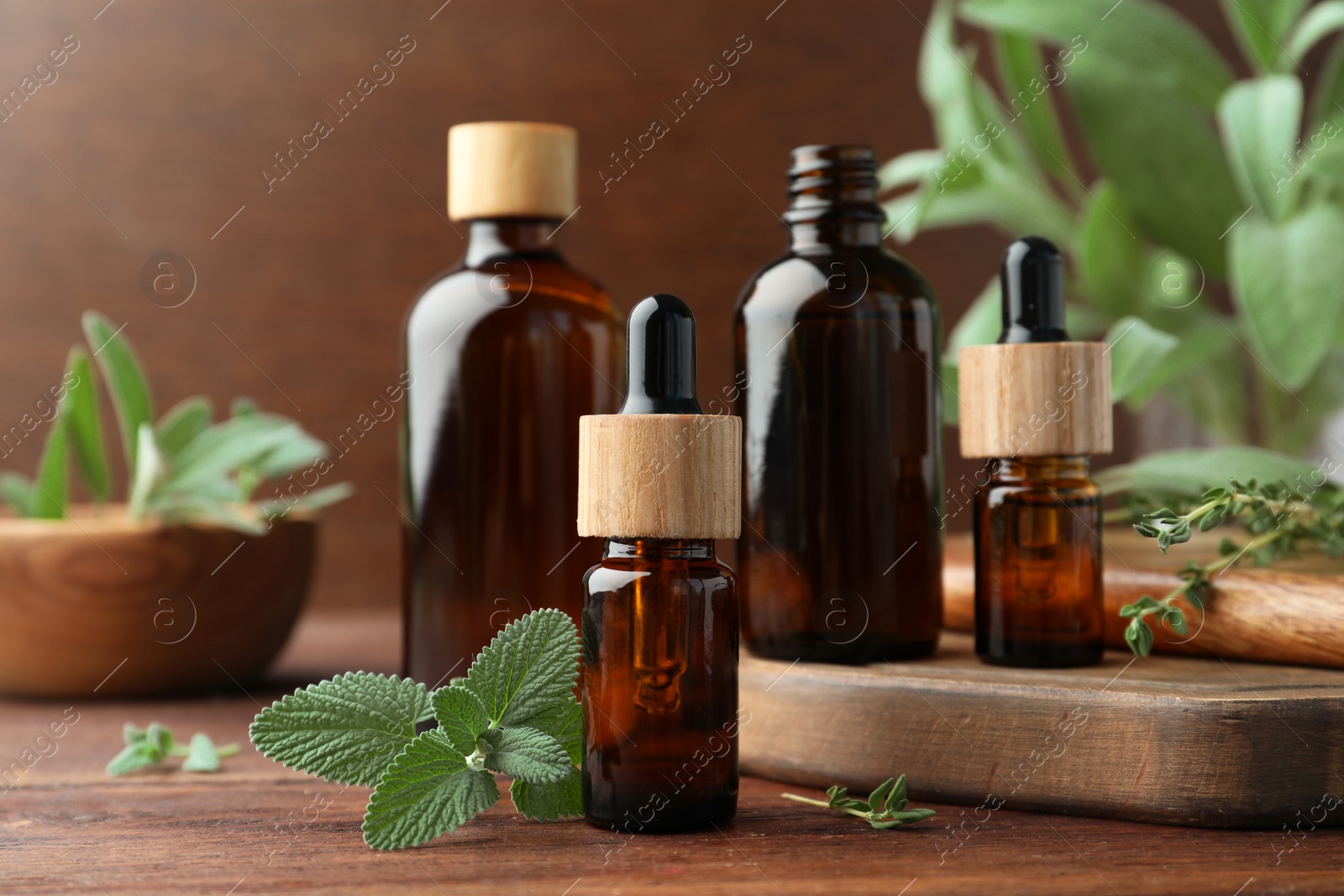 Photo of Bottles of essential oils and fresh herbs on wooden table