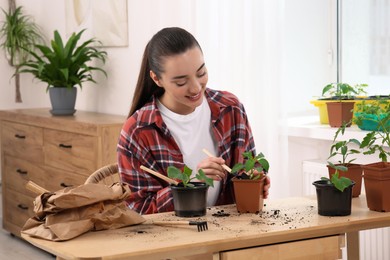 Photo of Happy woman planting seedlings into pot at wooden table in room