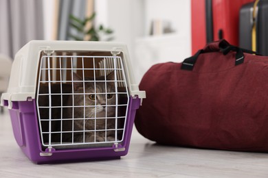 Travel with pet. Cute cat in carrier and bag at home