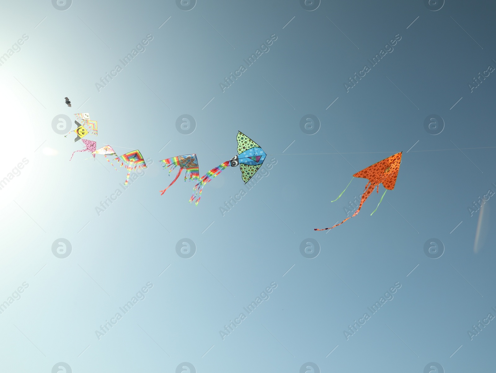 Photo of Bright rainbow kites in blue sky, low angle view