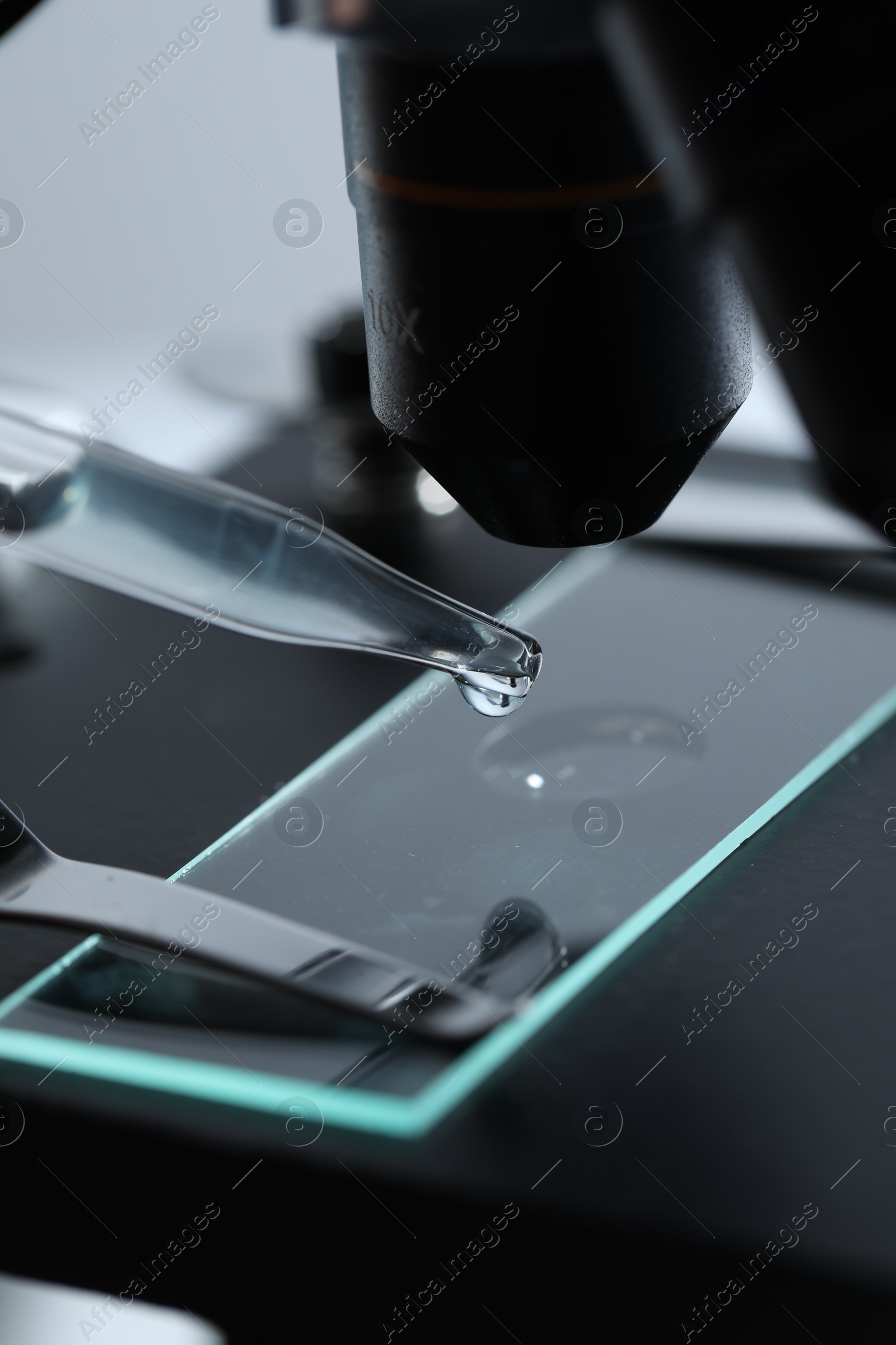 Photo of Dripping liquid from pipette onto glass slide on microscope, closeup