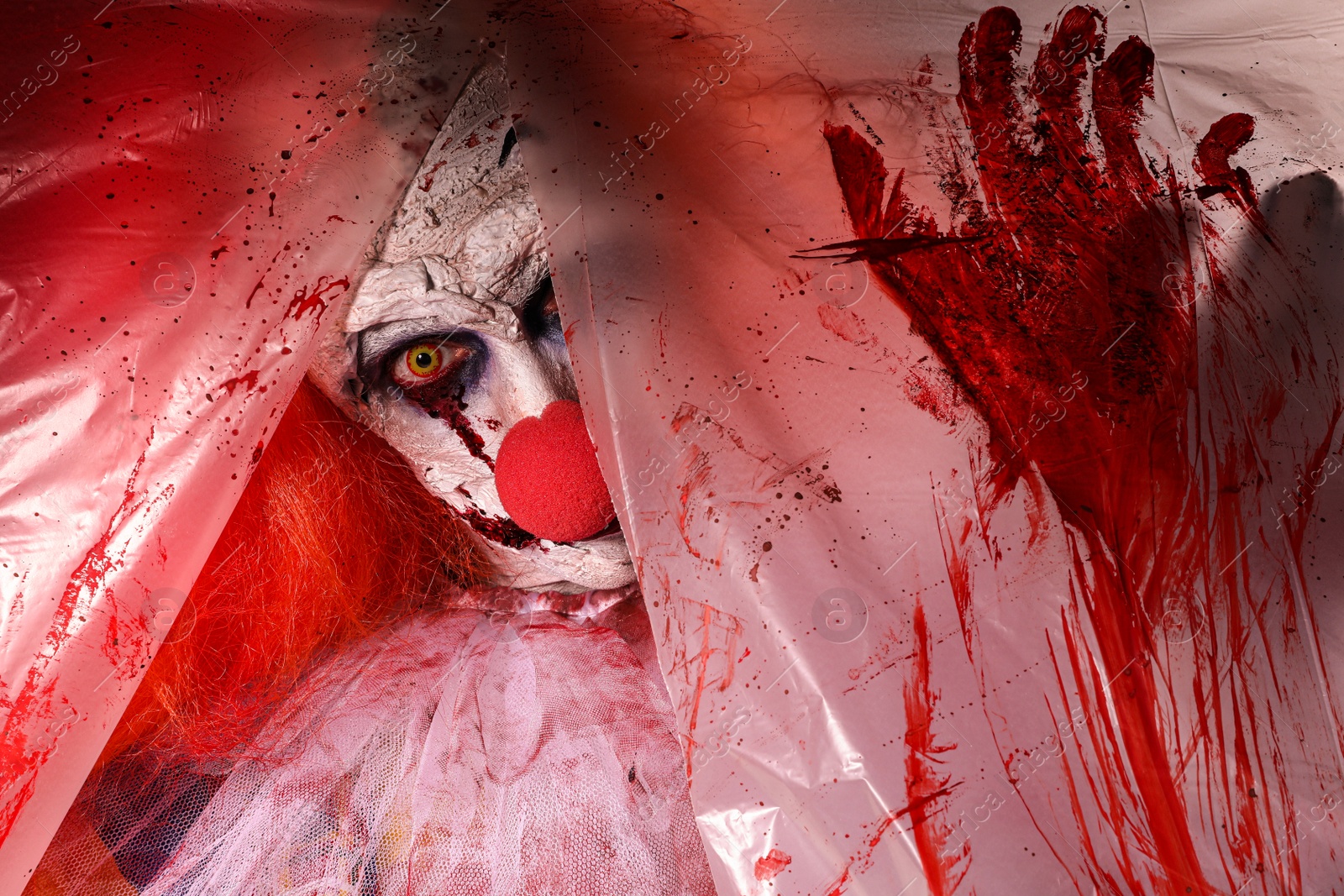 Photo of Terrifying clown staring through hole in torn bloodstained plastic film. Halloween party costume