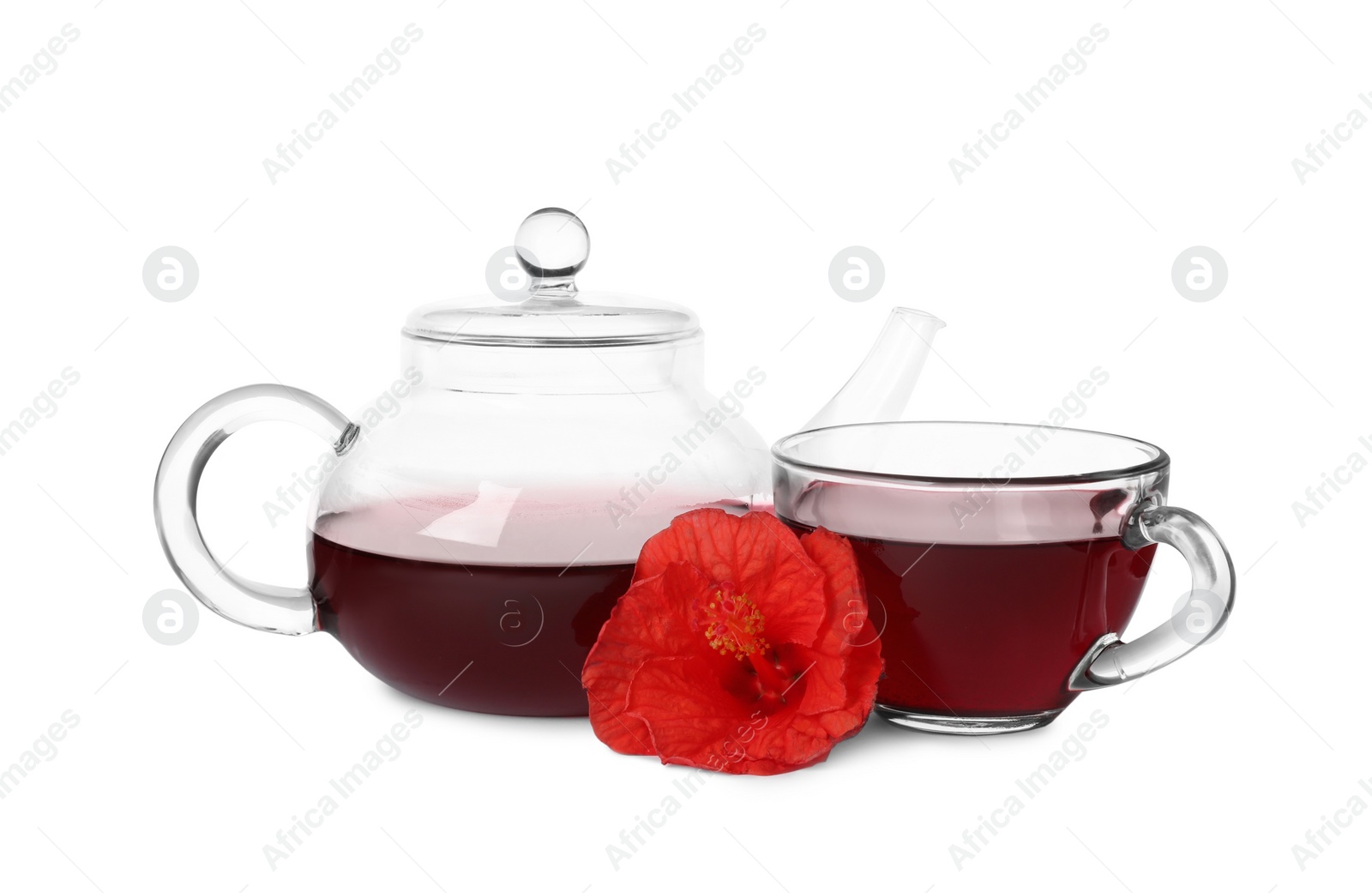 Photo of Delicious hibiscus tea and beautiful flower on white background