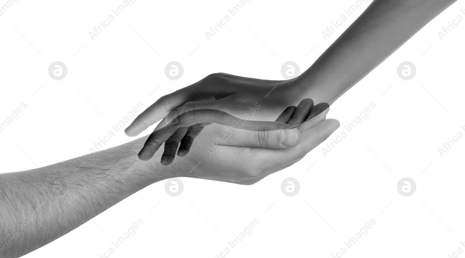 Image of Double exposure of people's hands on white background, closeup. Black and white effect