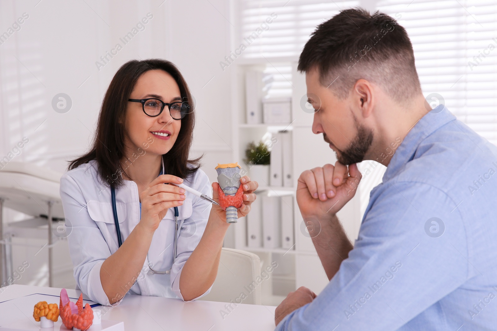 Photo of Doctor showing thyroid gland model to patient in hospital