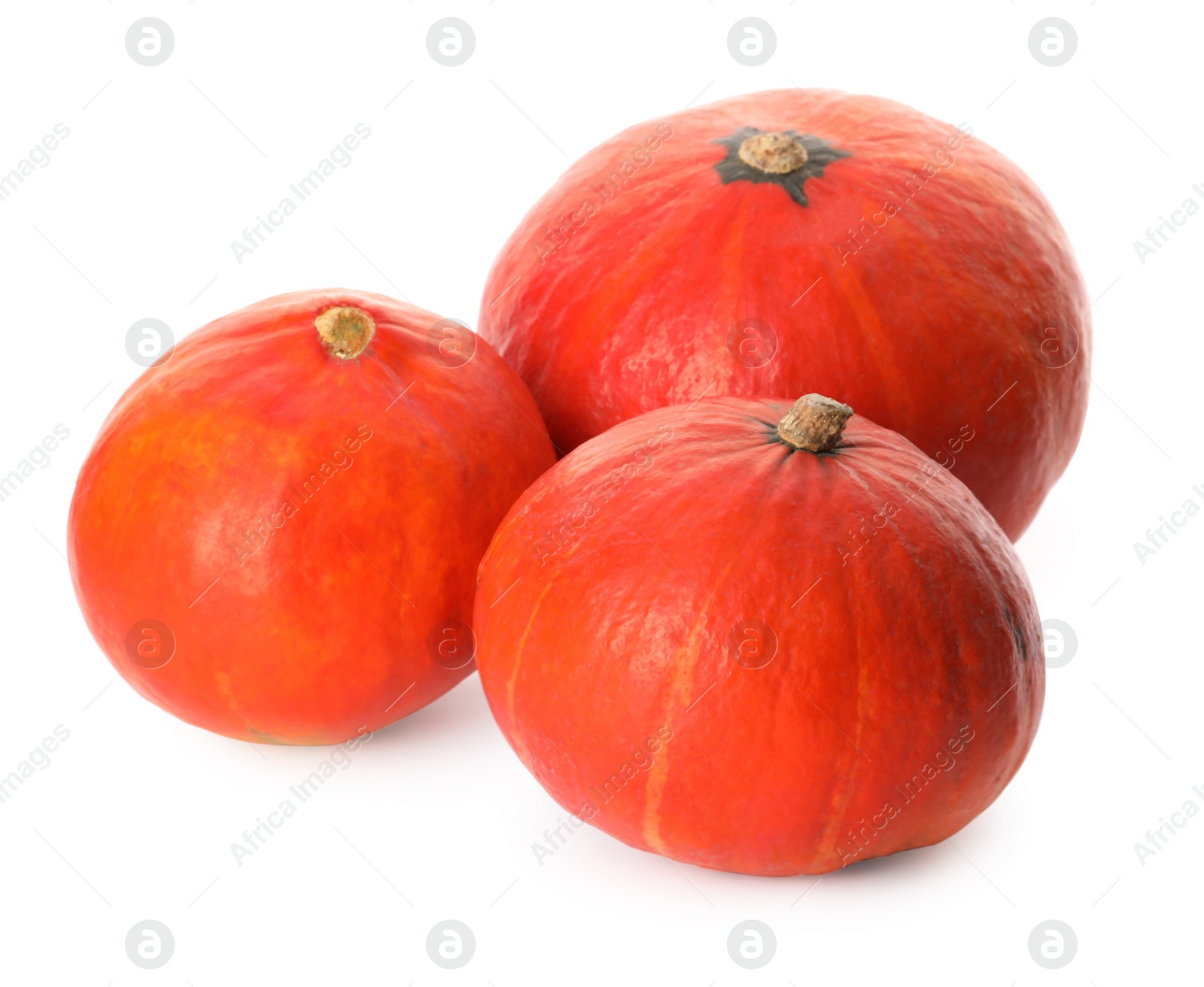 Photo of Many whole ripe pumpkins on white background