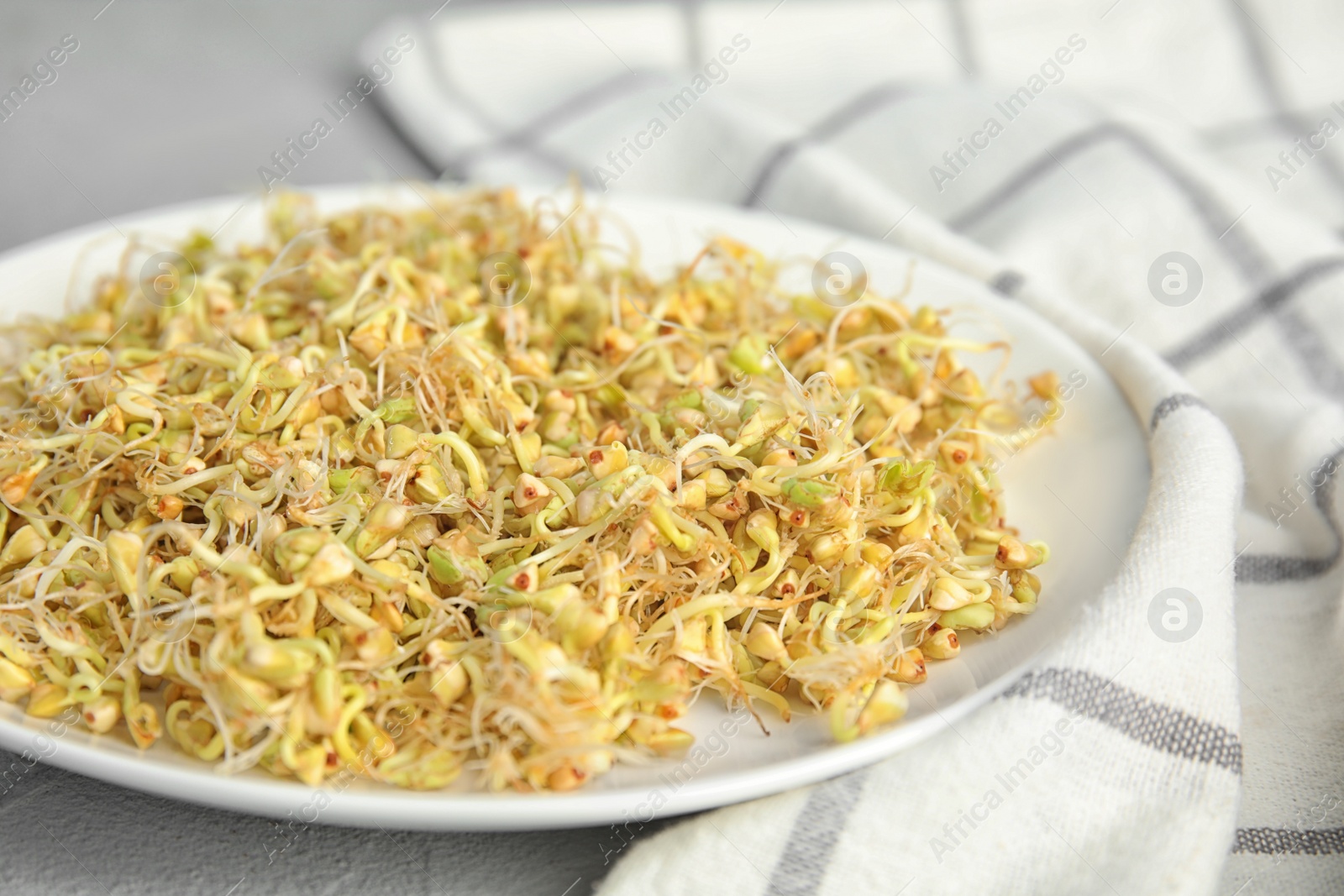 Photo of Plate of sprouted green buckwheat on light grey table, closeup