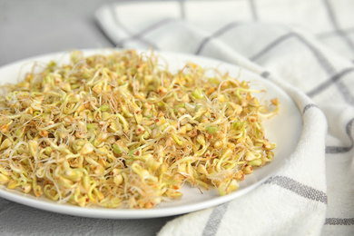 Plate of sprouted green buckwheat on light grey table, closeup