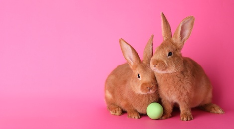 Photo of Cute bunnies and Easter egg on pink background