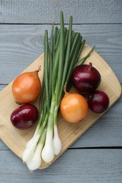 Board with different kinds of onions on grey wooden table, top view