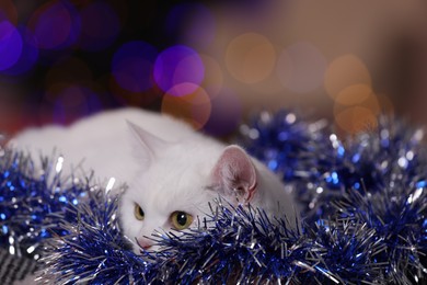 Photo of Adorable cat with Christmas tinsel lying on blanket against blurred lights