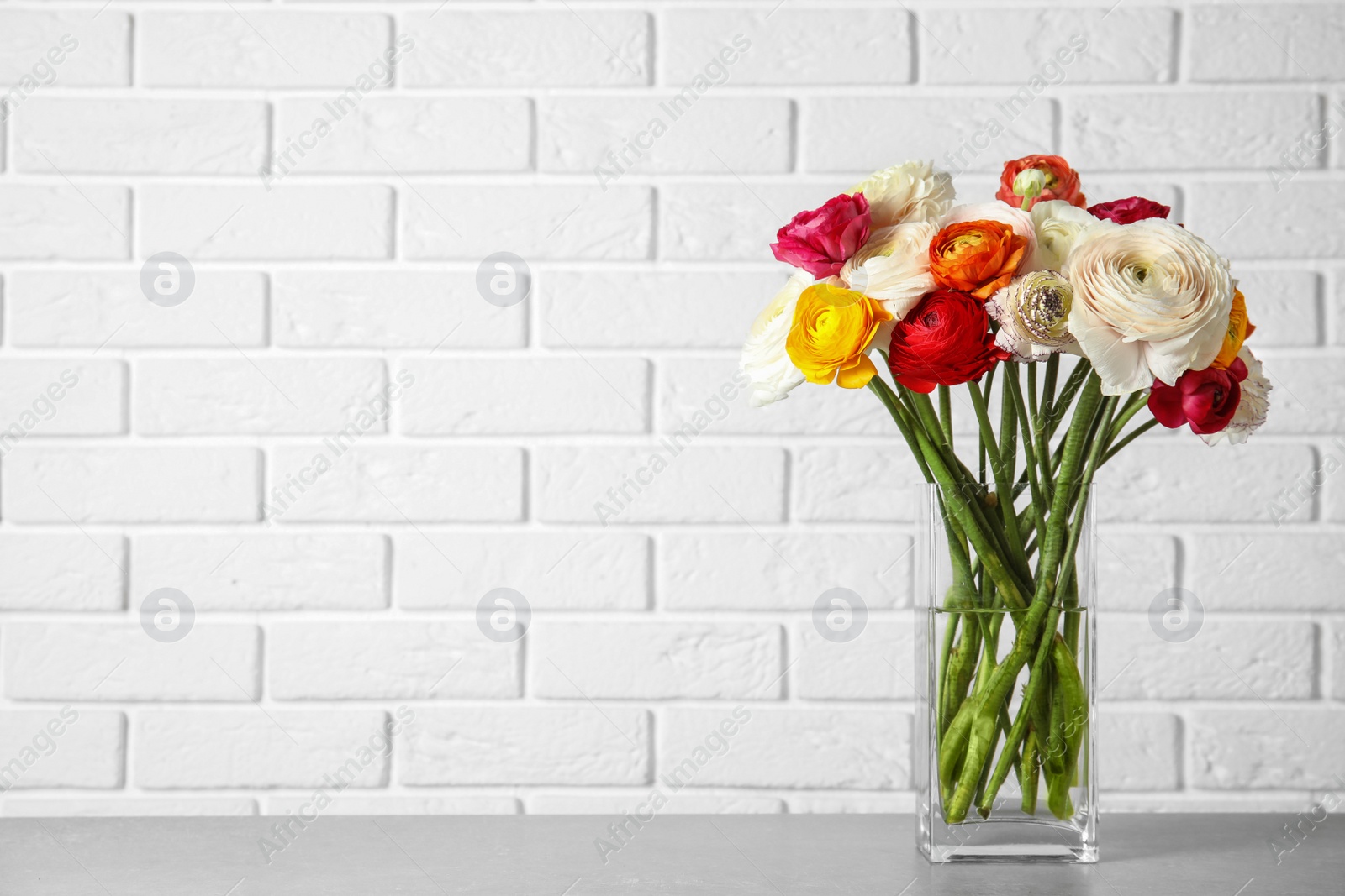 Photo of Vase with beautiful spring ranunculus flowers on table near brick wall, space for text