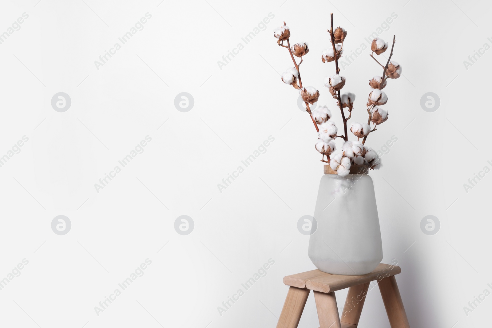 Photo of Cotton branches with fluffy flowers in vase on wooden ladder near white wall. Space for text