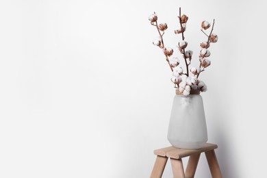 Cotton branches with fluffy flowers in vase on wooden ladder near white wall. Space for text