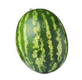 One whole ripe watermelon isolated on white