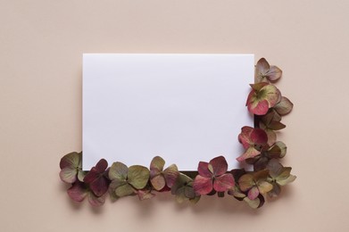 Photo of Dried hortensia flowers and sheet of paper on beige background, flat lay. Space for text
