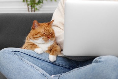 Photo of Woman working with laptop at home, closeup. Cute cat sitting on sofa near owner