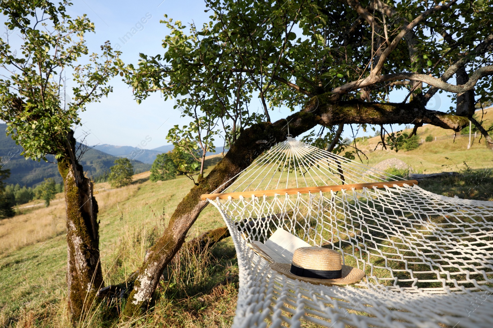 Photo of Comfortable net hammock with hat and book in mountains on sunny day