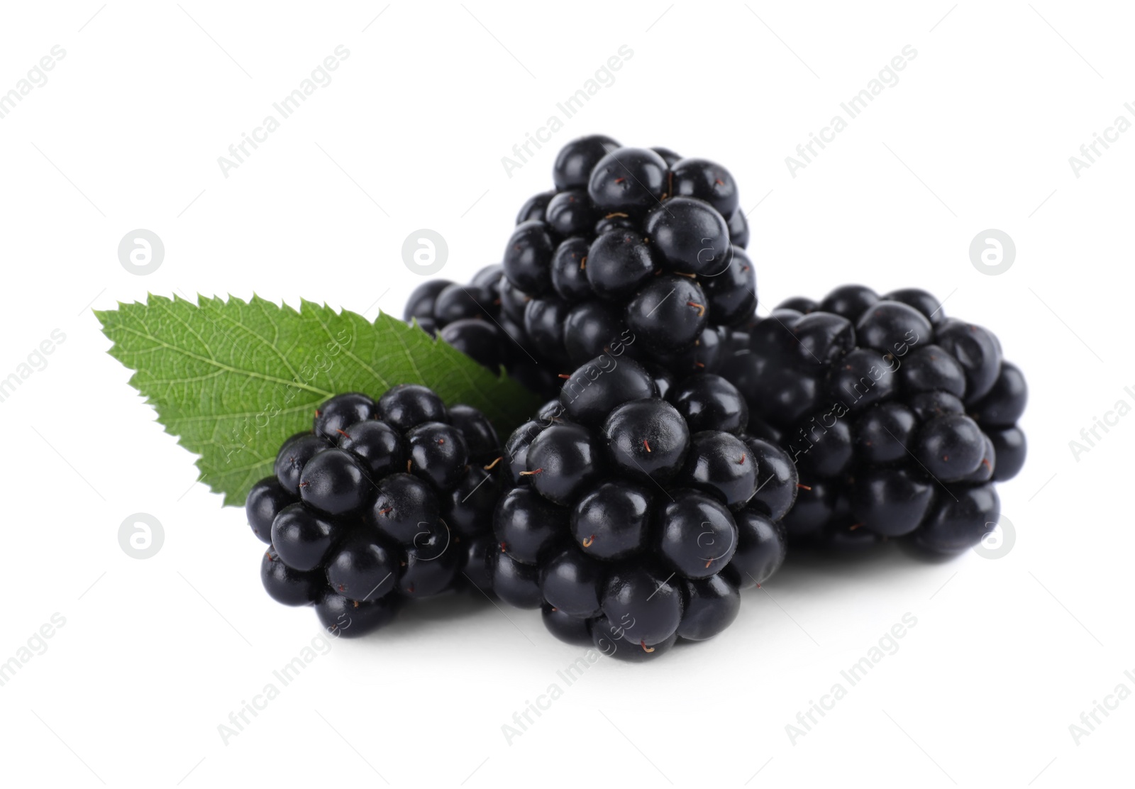 Photo of Tasty ripe blackberries and leaf on white background