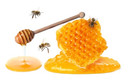 Image of Dripping tasty honey from dipper, honeycomb and bees on white background