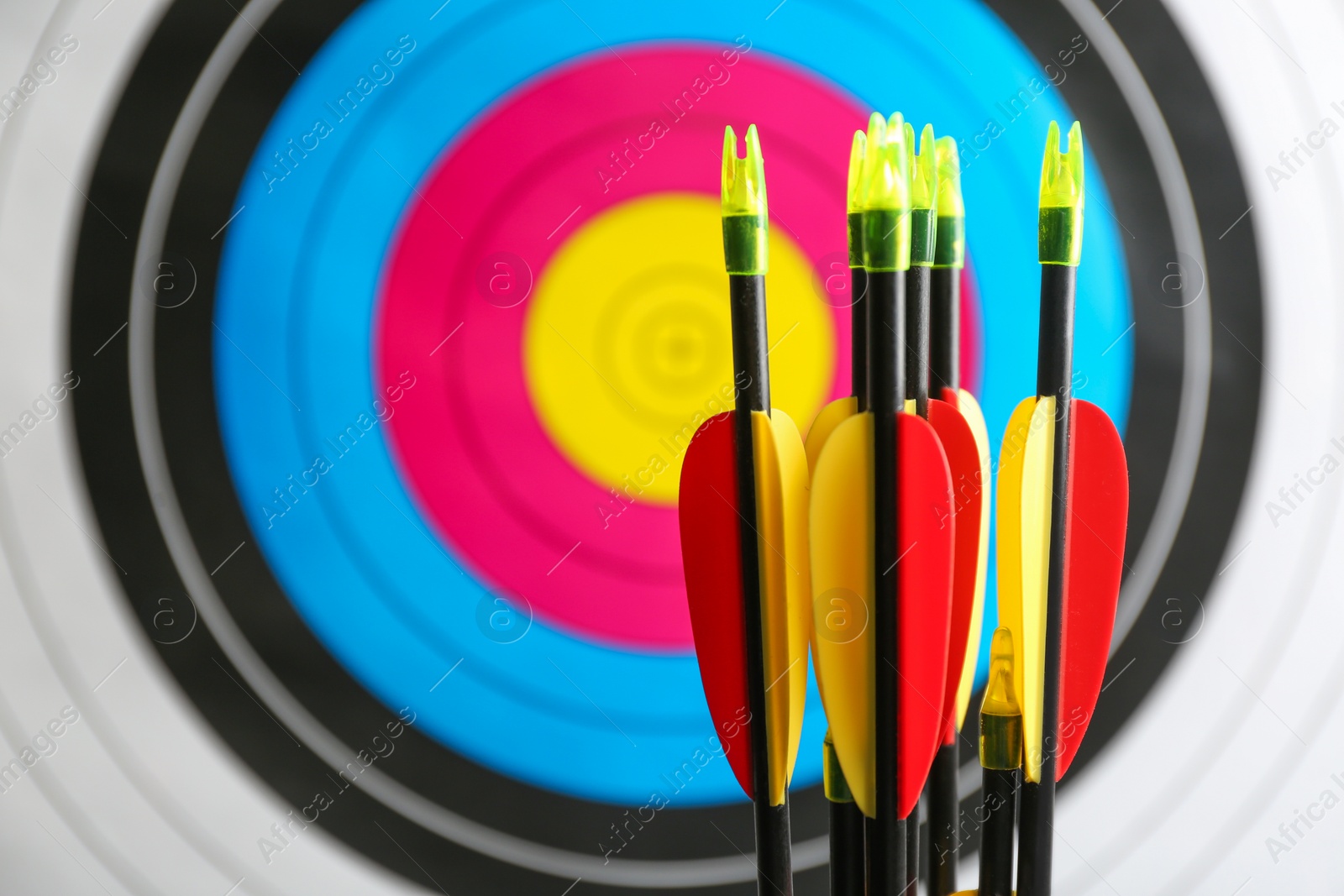 Photo of Many arrows against archery target, closeup view. Space for text