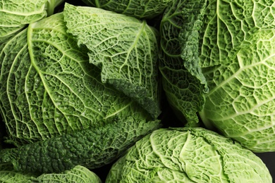 Fresh green savoy cabbages as background, top view