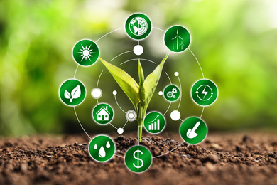 Image of Modern technology in agriculture. Green seedling and icons