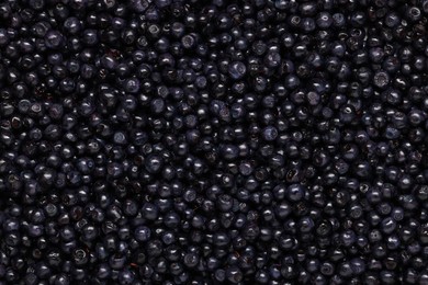 Photo of Many tasty fresh bilberries as background, top view