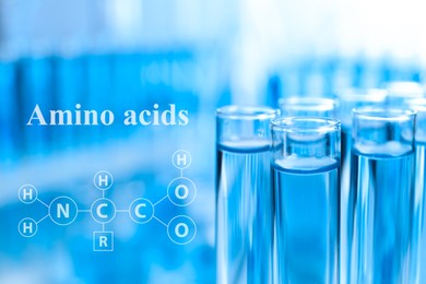 Image of Amino Acids chemical formula, illustration. Test tubes with liquid samples for analysis in laboratory, closeup