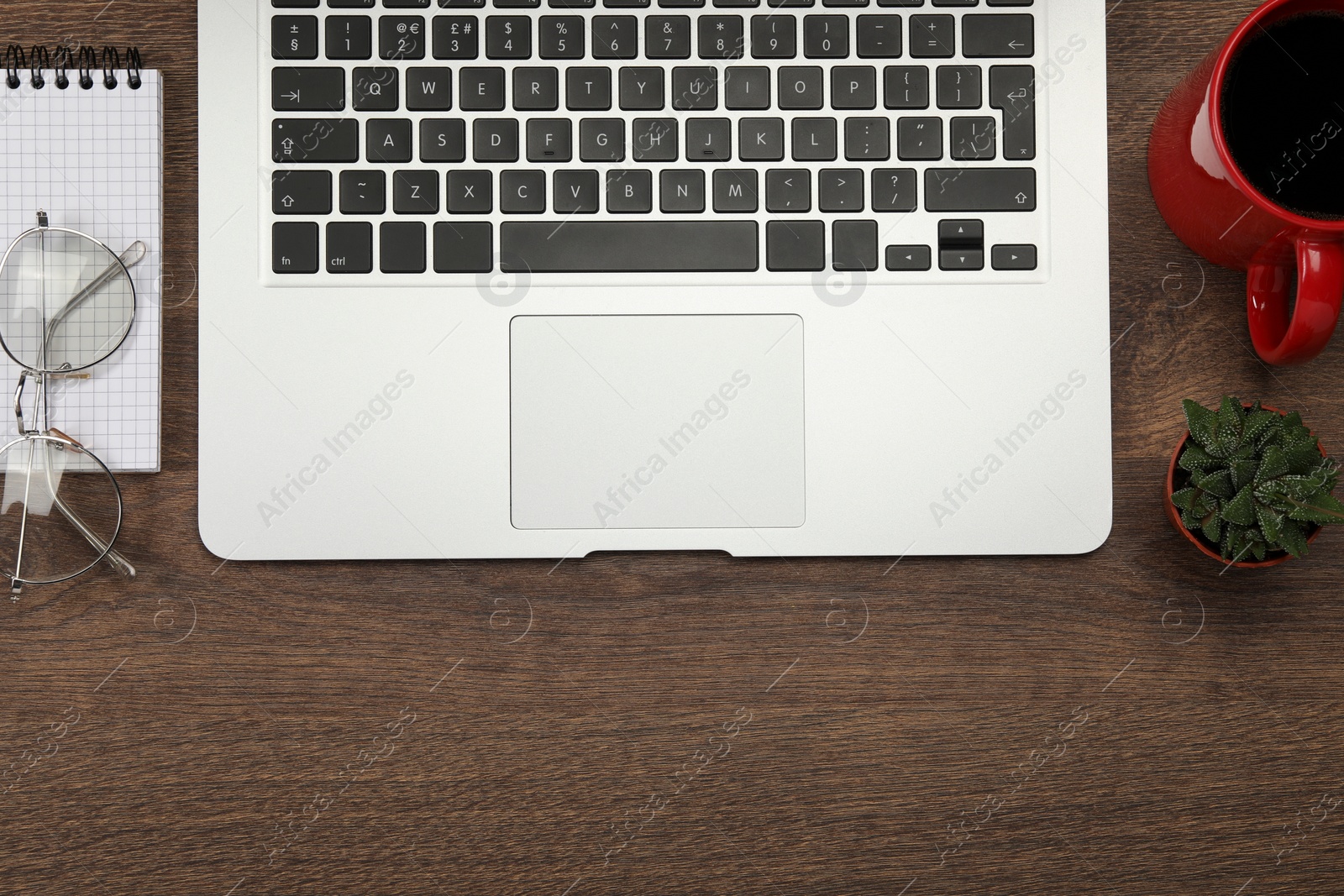 Photo of Modern laptop, notebook, glasses, cup of coffee and houseplant on wooden table, flat lay. Space for text