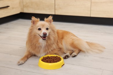 Photo of Cute Pomeranian spitz dog near feeding bowl with food on floor indoors
