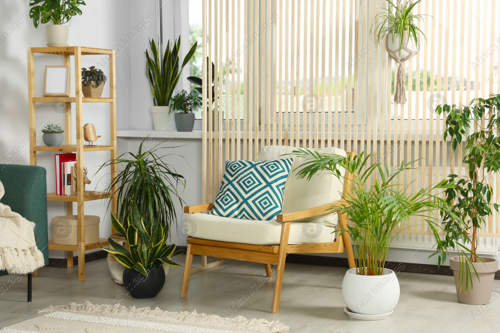 Photo of Living room interior with beautiful different potted green plants and furniture. House decor