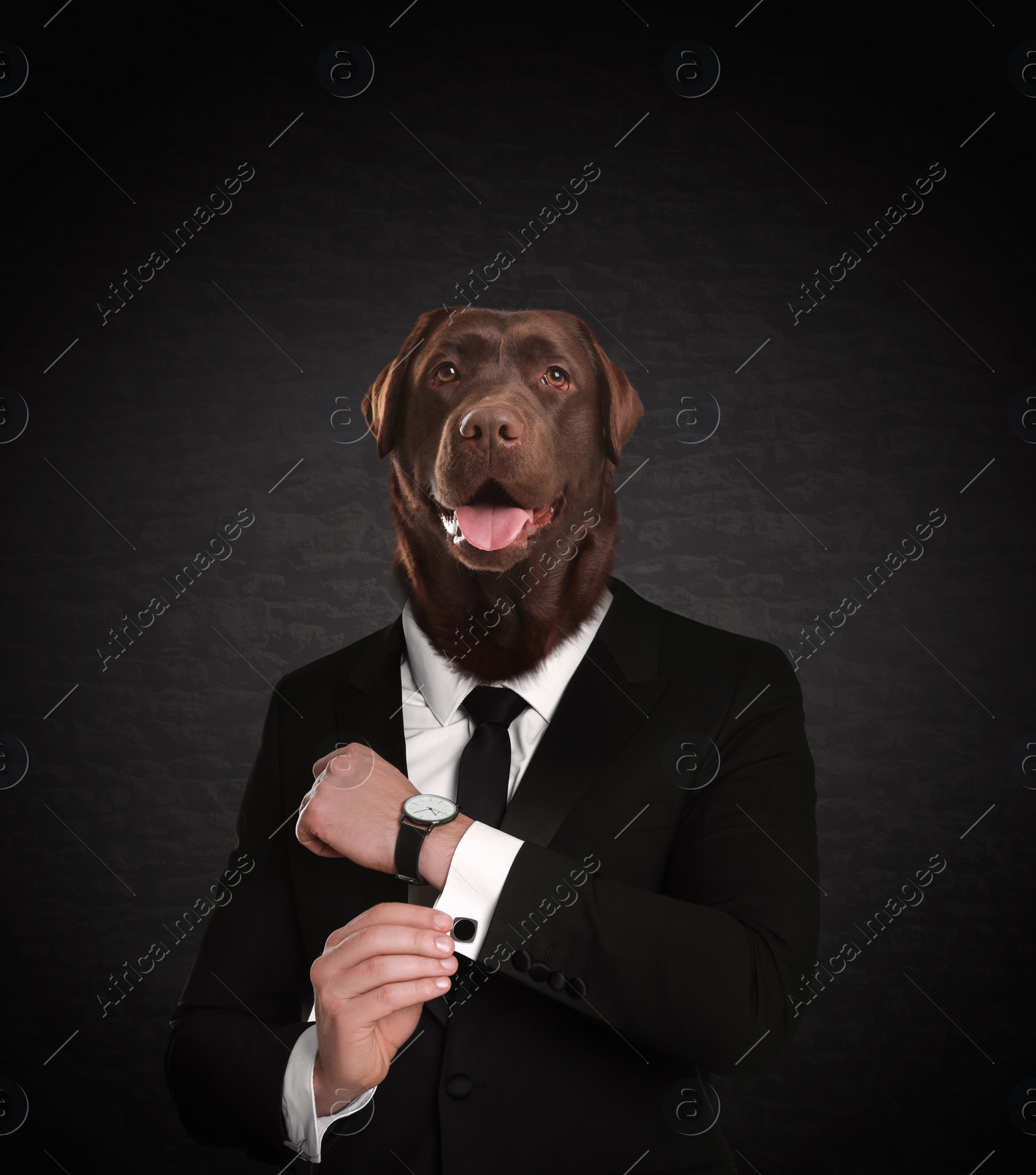 Image of Portrait of businessman with dog face on dark background