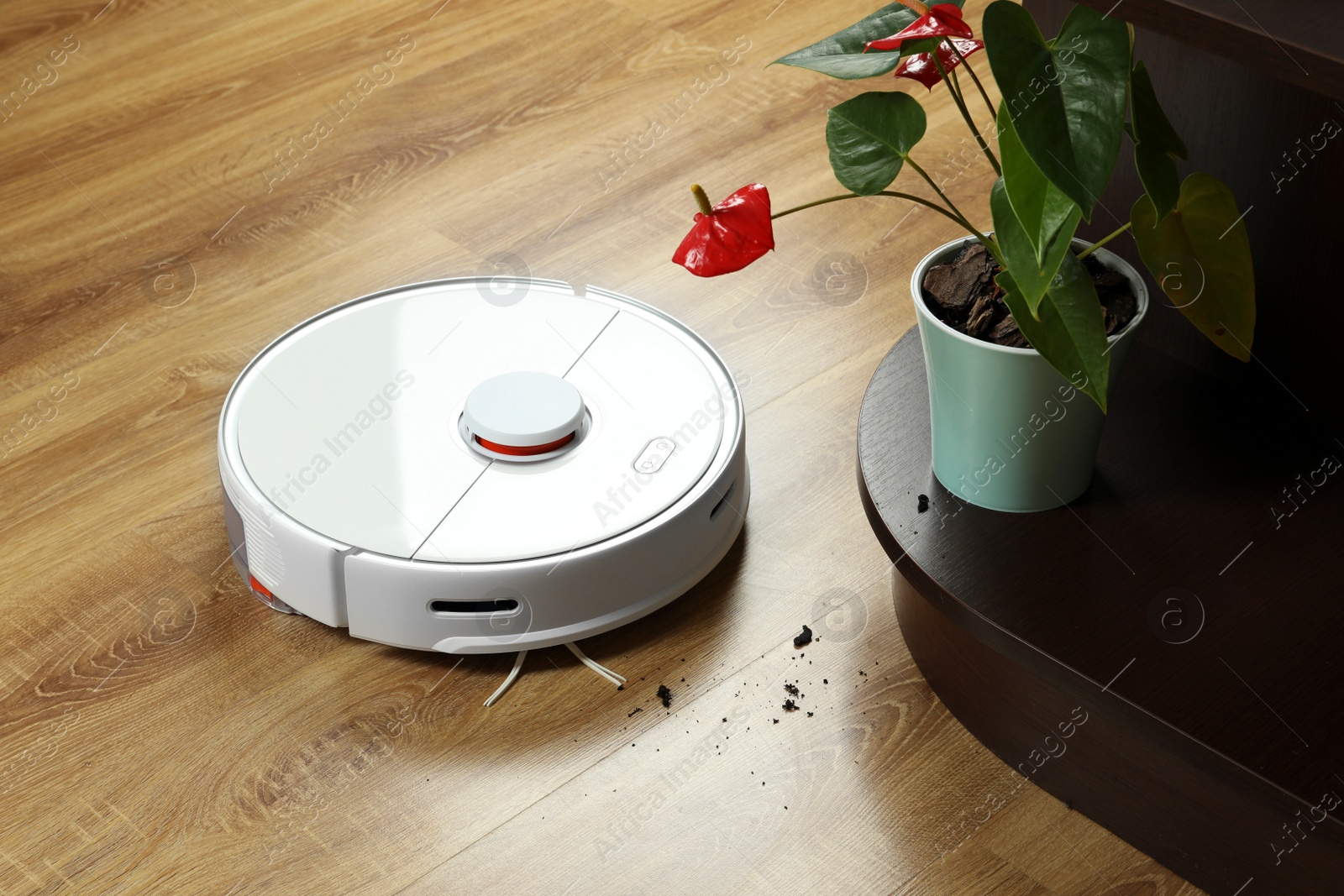 Photo of Robotic vacuum cleaner soil from wooden floor indoors