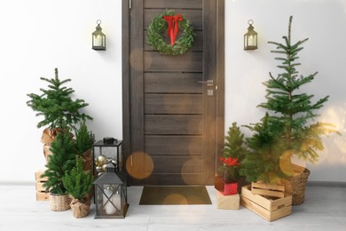 Beautiful Christmas lantern and fir trees near entrance indoors