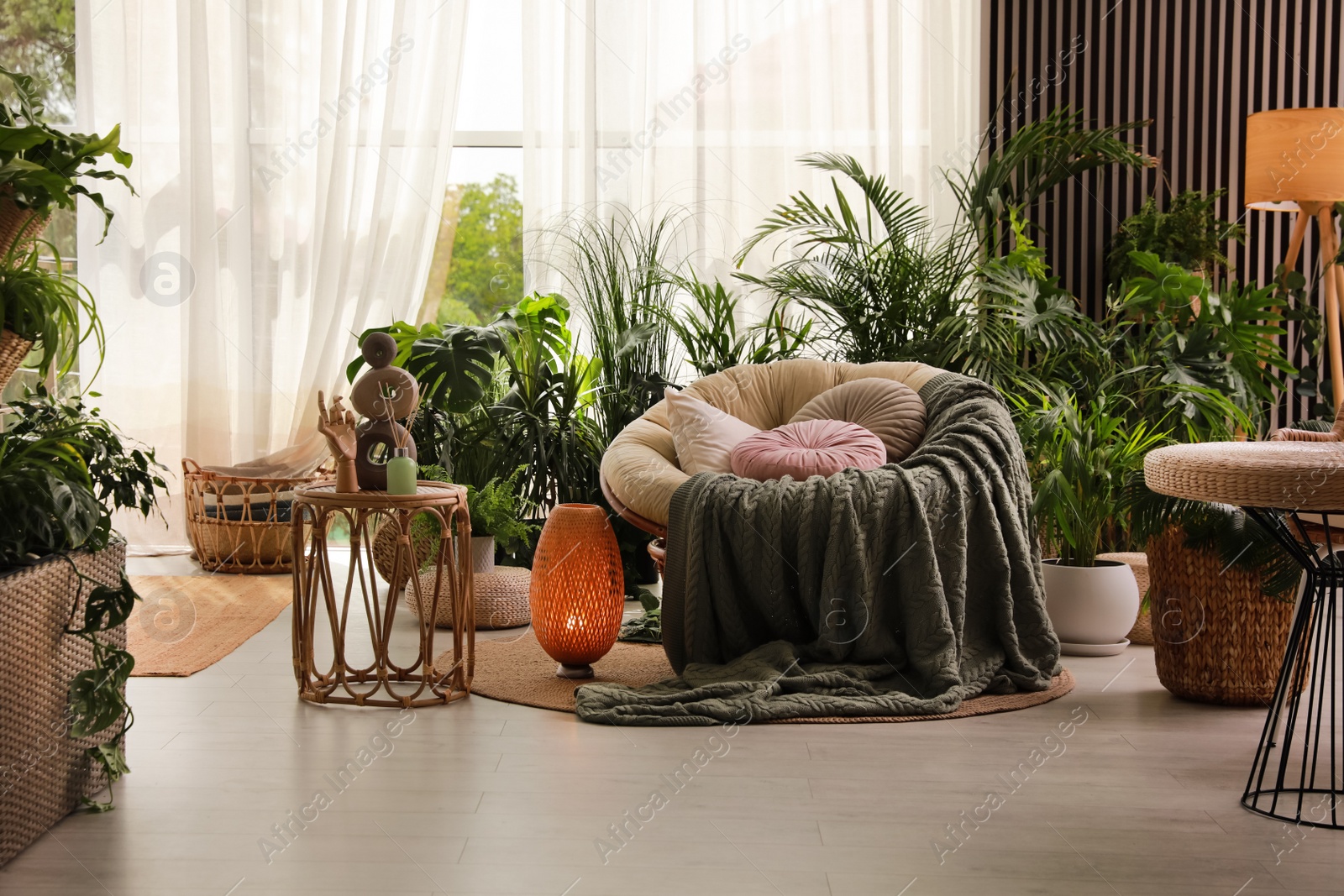 Photo of Indoor terrace interior with soft papasan chair and green plants